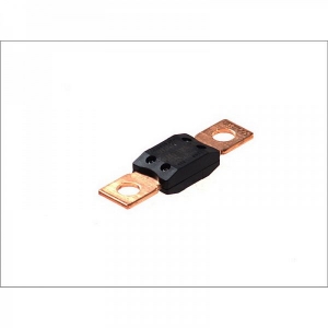 (6014013) KAITSE 125A MEGA(BF2) 52MM