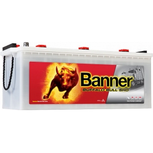 BANNER AKU BUFFALO BULL 180AH 513X223X220 + VASAK 950A