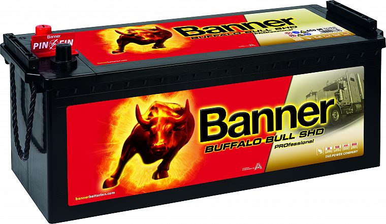 BANNER AKU BUFFALO BULL SHD PRO 225AH 517X273X212 + - 1150A