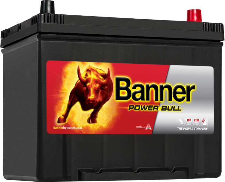 BANNER AKU POWER BULL 80AH 260X174X222 - + 640A