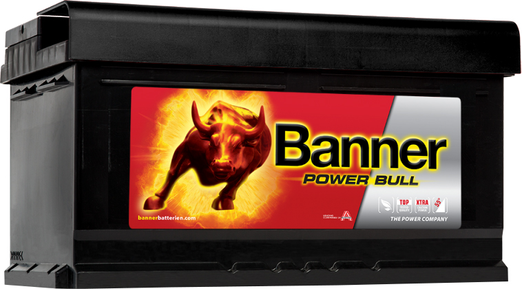 BANNER AKU POWER BULL 80AH 315X175X175 - + 700A